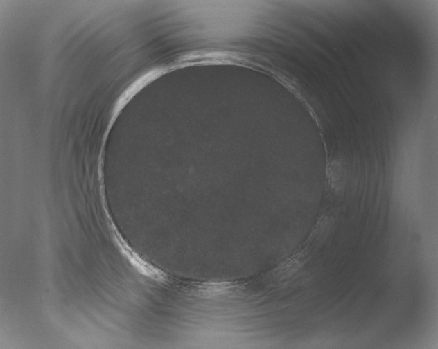 X0000077371482200610201336