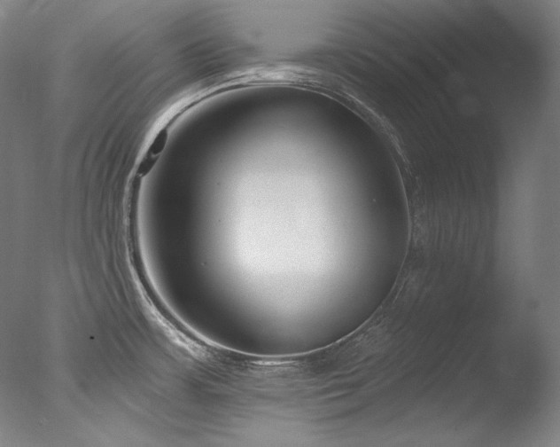 X0000077371483200610201336