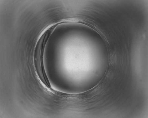 X0000077371484200610201335