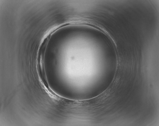 X0000077371485200610201335