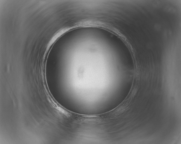 X0000077371486200610201335