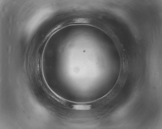 X0000077371487200610201335