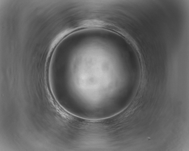 X0000077371488200610201335