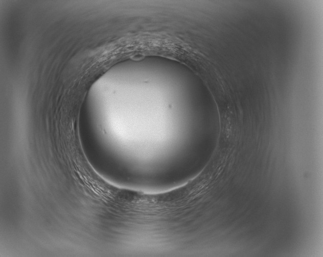 X0000077371489200610201335