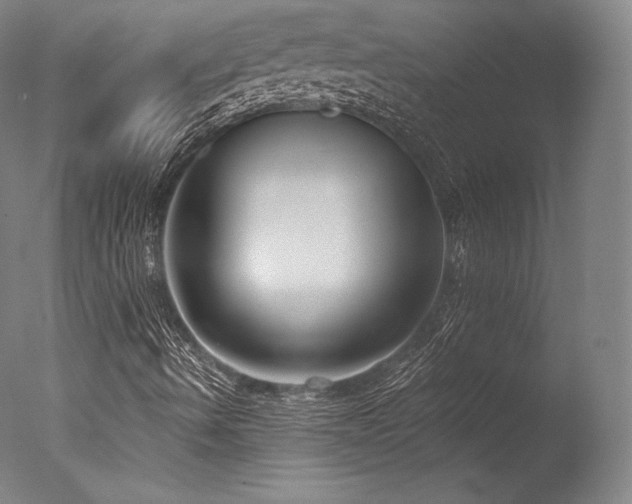 X0000077371490200610201335