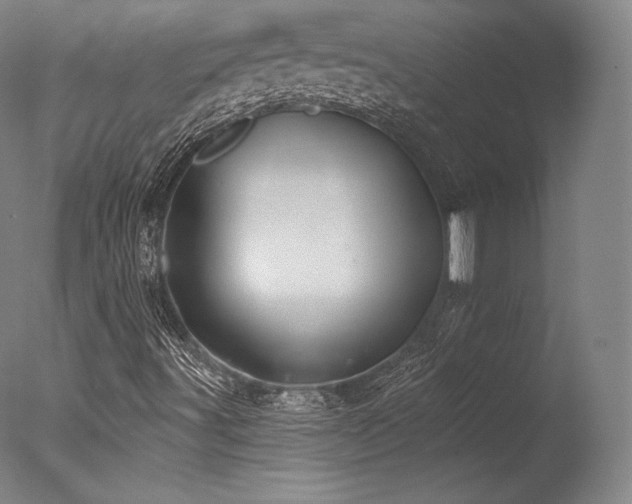 X0000077371491200610201335