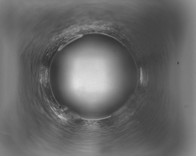 X0000077371492200610201335