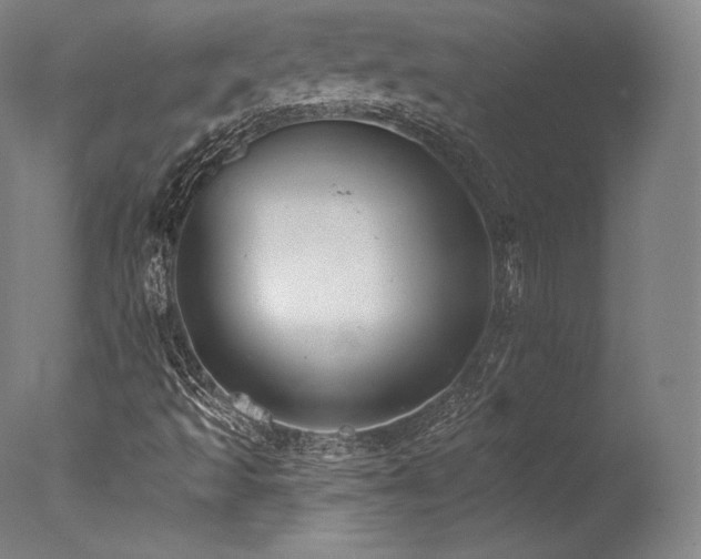 X0000077371493200610201335