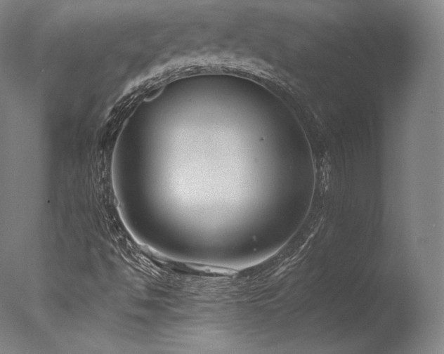 X0000077371494200610201335