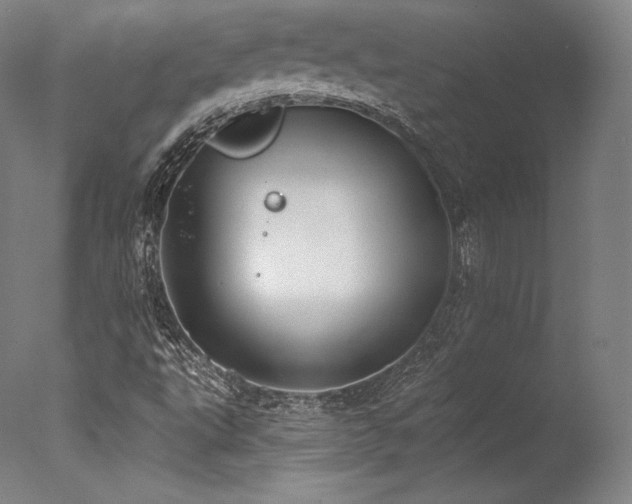 X0000077371495200610201335