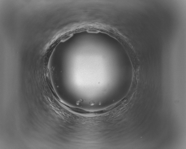 X0000077371496200610201335