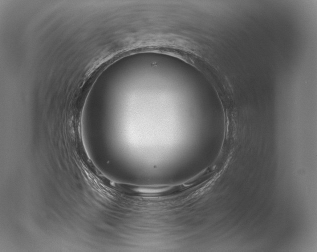 X0000077371497200610201335