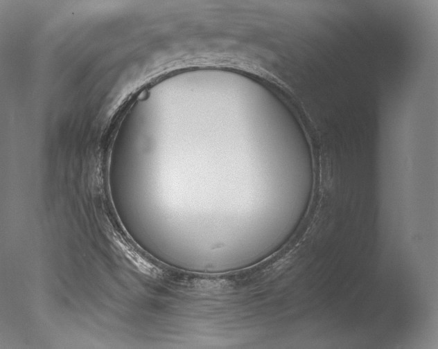 X0000077371498200610201335