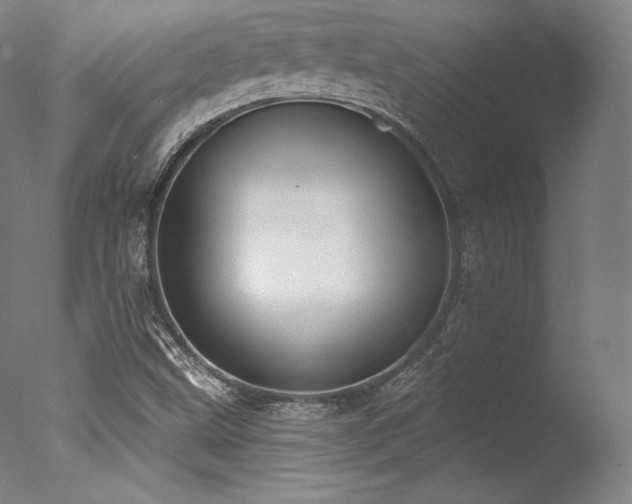 X0000077371499200610201335