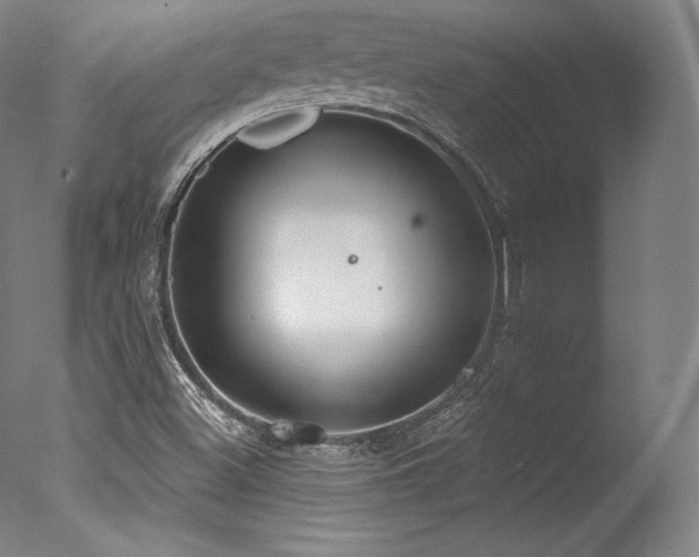 X0000077371500200610201335