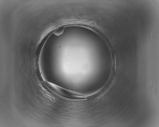 X0000077371501200610201335