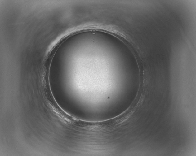 X0000077371502200610201335