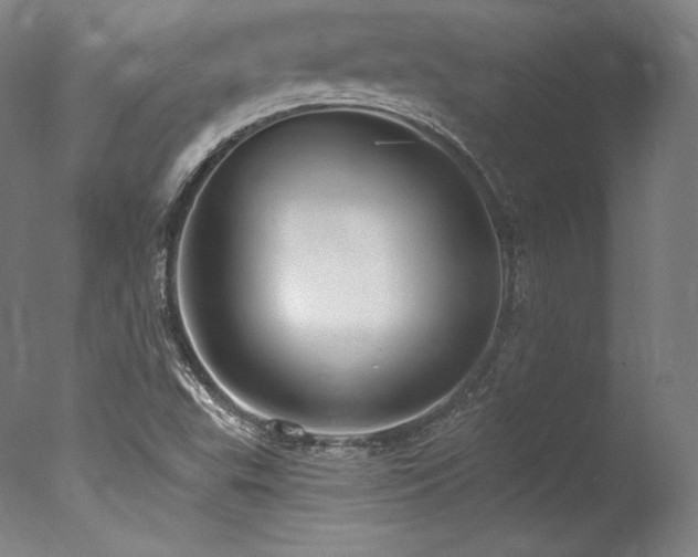 X0000077371503200610201335