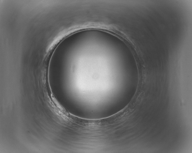 X0000077371504200610201335