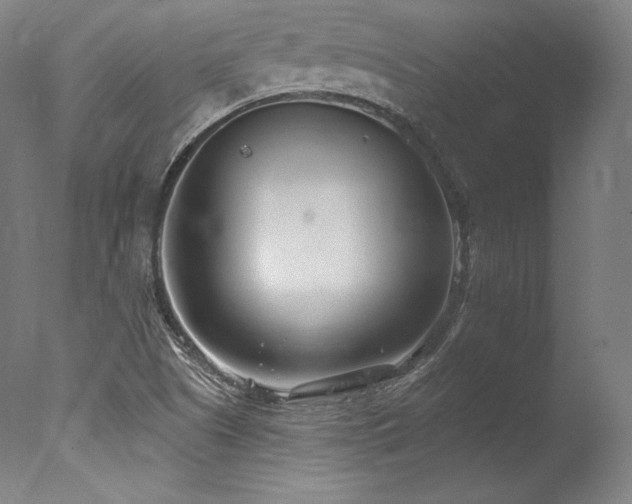 X0000077371505200610201335