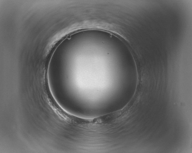 X0000077371507200610201335