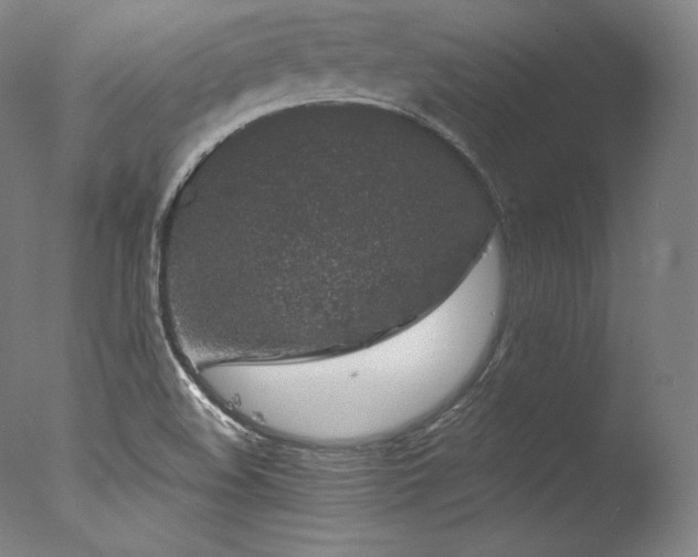 X0000077371508200610201335