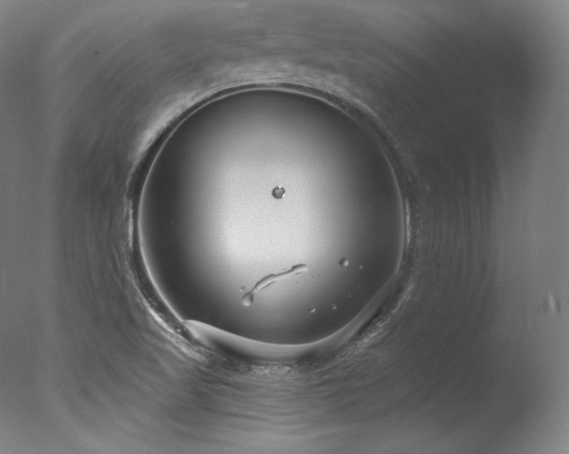 X0000077371509200610201335