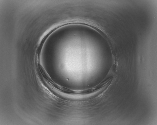 X0000077371510200610201335