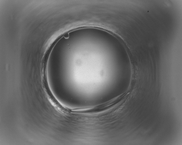 X0000077371511200610201335