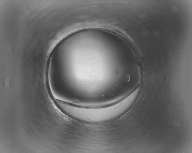 X0000077371512200610201335