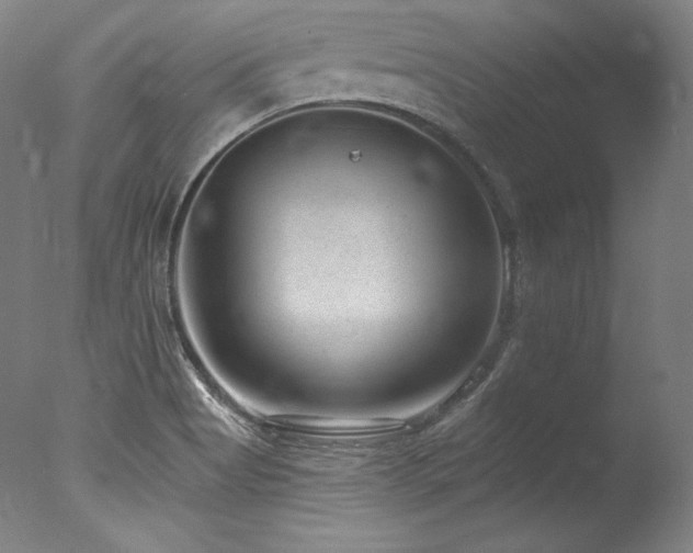 X0000077371513200610201335