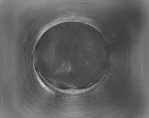 X0000077371515200610201335