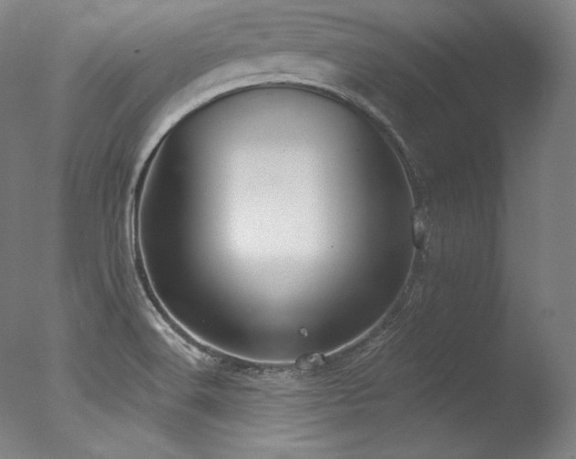 X0000077371516200610201335