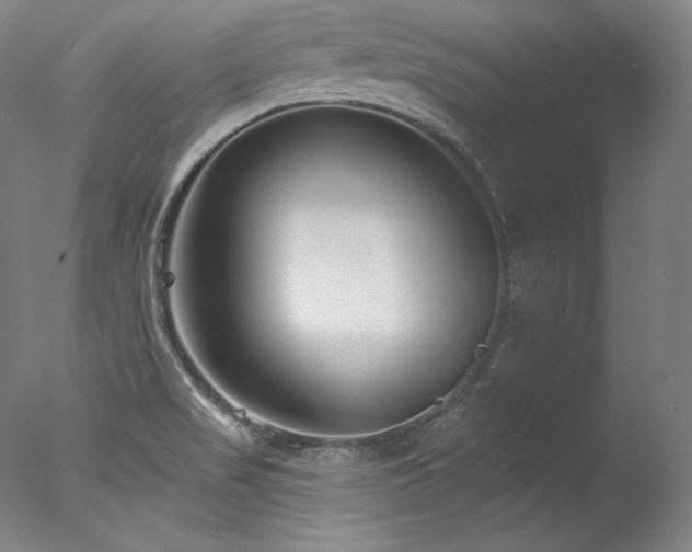 X0000077371517200610201335