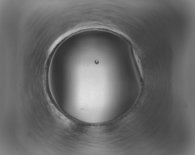 X0000077371518200610201335