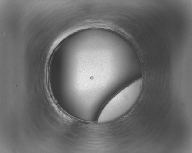 X0000077371520200610201335