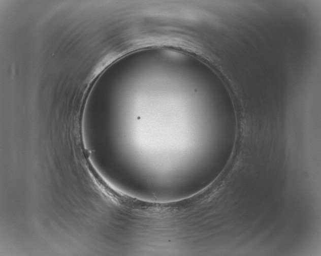 X0000077371521200610201335