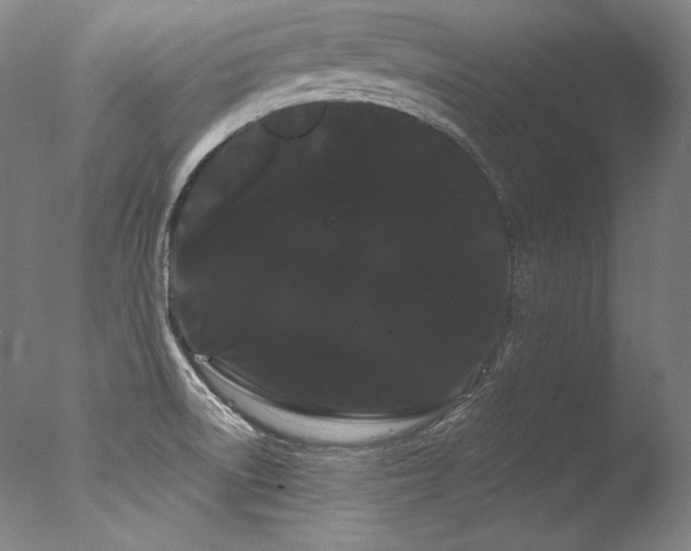 X0000077371522200610201335