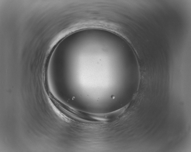 X0000077371523200610201335