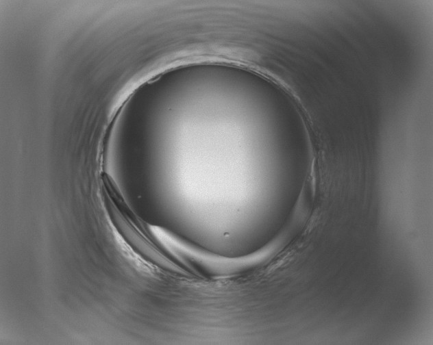 X0000077371524200610201335