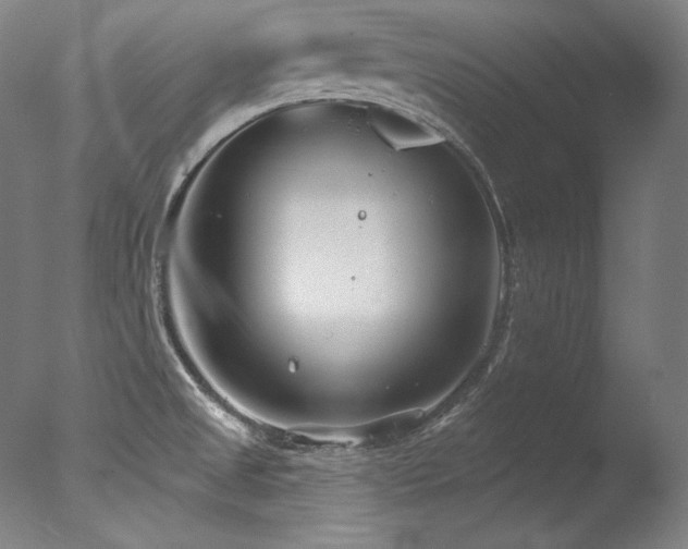 X0000077371525200610201335