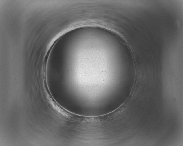 X0000077371526200610201335