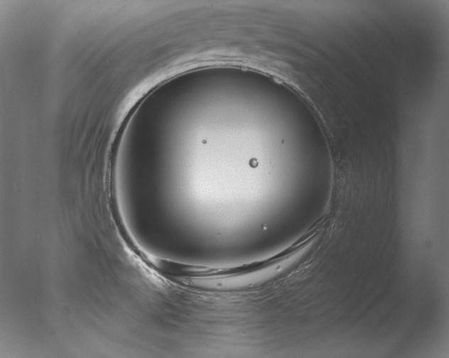 X0000077371527200610201335