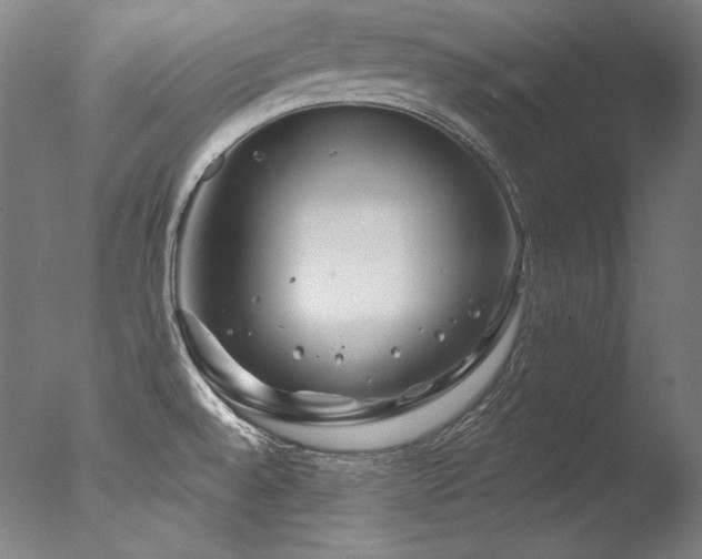 X0000077371528200610201335