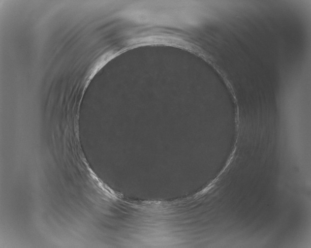 X0000077371529200610201335