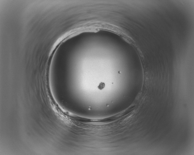 X0000077371530200610201335