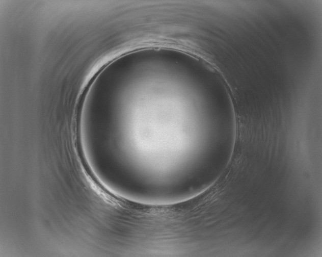 X0000077371531200610201335