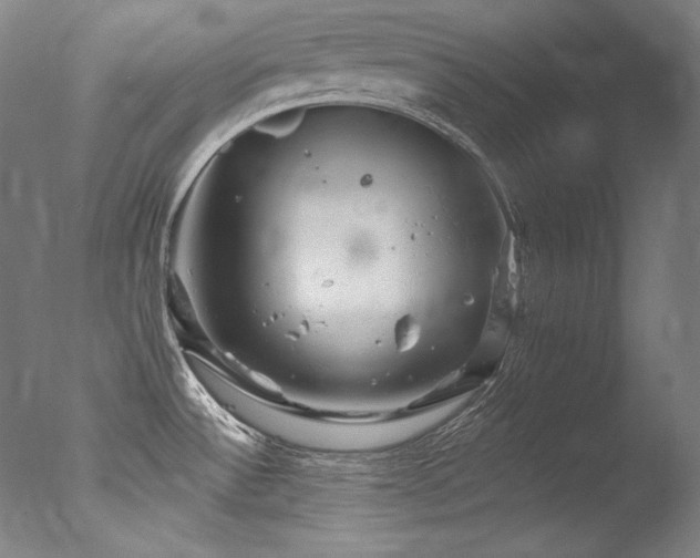 X0000077371532200610201335