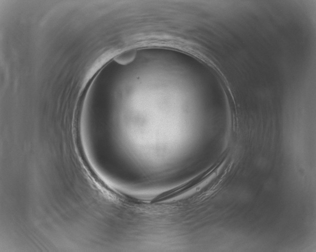 X0000077371533200610201335