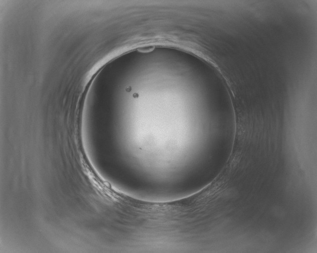 X0000077371534200610201335